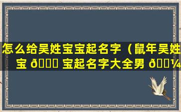 怎么给吴姓宝宝起名字（鼠年吴姓宝 🐝 宝起名字大全男 🐼 孩）